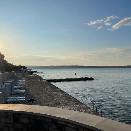 App Robi Apartment Novigrad  Bagian luar foto